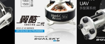 Dualsky Motors