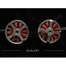 Dualsky XM2202TY-24SE Xmotor Typhoon series brushless outrunners for indoor model