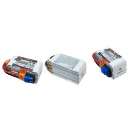 Dualsky XP12004GT-S Lipo Battery x2