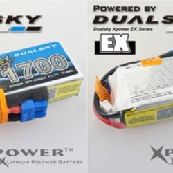 Dualsky XP17004EX Lipo Battery x2