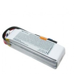 Dualsky XP17503GT-S Lipo Battery x2