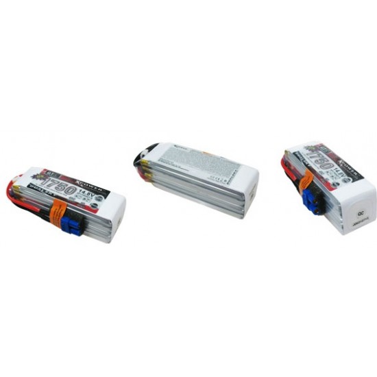 Dualsky XP17504GT-S Lipo Battery x2