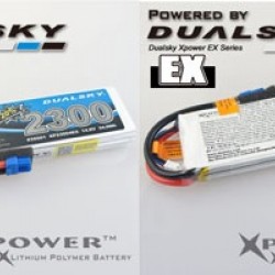Dualsky XP23004EX Lipo Battery x 2 