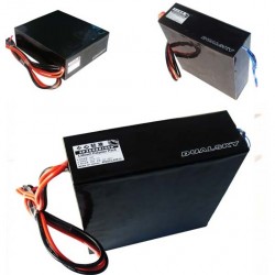 Dualsky XP350007HED Battery for Paraglider