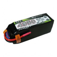Dualsky XP49506HED Lipo Battery
