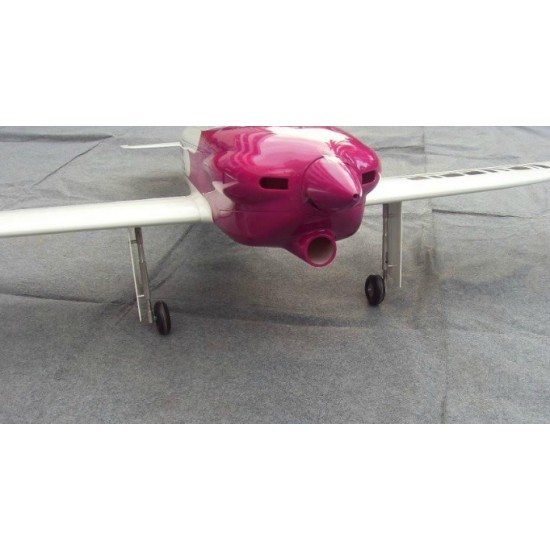 Nemesis 74'' 35CC RC Plane Model Carbon Fibre ARTF