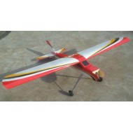 Trainer 20CC RC Plane Model ARTF