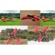 Raven 50CC 88in RC Plane ARF