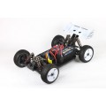 1/8 RC Car