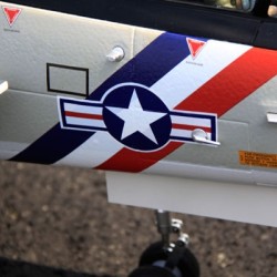 Freewing F-14 Tomcat Twin 80mm Deluxe PNP and KIT with servos