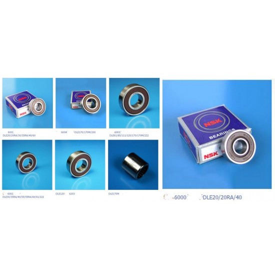 DLE Engines Bearings