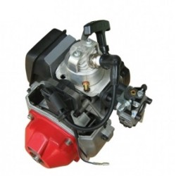 43CC Single Cylinder Gas Engine