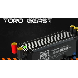SKYRC Toro Beast V2 200A for RC Car