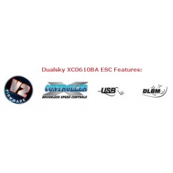 Dualsky TC.2A.MIC Tuning Combo x2
