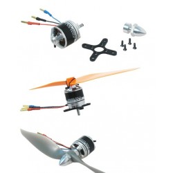 Dualsky XM2223EA-17 Motor x2