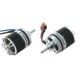 Dualsky XM2838EA-8 Motor x2