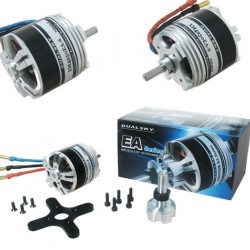 Dualsky XM4250EA-6 Motor x 2