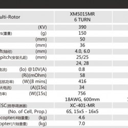 Dualsky XM5015MR Motor x2