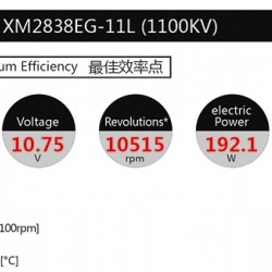 Dualsky XM2838EG-11 KV1100 Motor for Glider x2