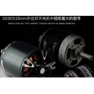 Dualsky XM2838EG-7 KV1800 Motor for Glider x2