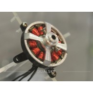 Dualsky XM2203TY-17 Motor x2