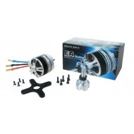 Dualsky XM4250EA-4 Motor x2