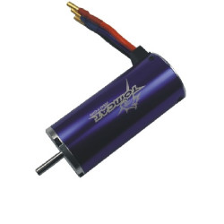 Tomcat Motor 930KV for RC Car