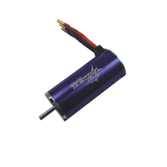 Tomcat Motor 930KV for RC Car