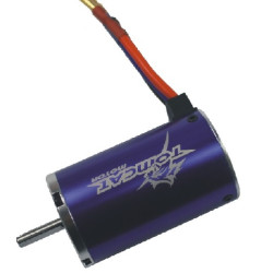 Tomcat Motor 1570KV for RC Car x2