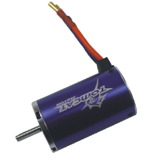 Tomcat Motor 1570KV for RC Car x2
