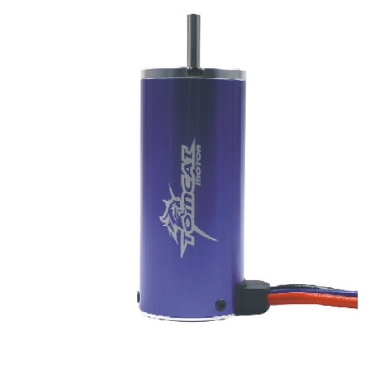 Tomcat Motor 700KV for RC Car