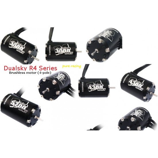 Dualsky R4 Series Brushless Motor x2