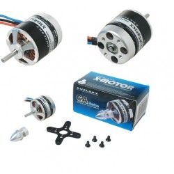 Dualsky XM2834CA-10 Motor x2