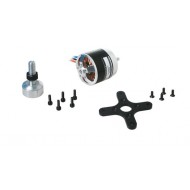 Dualsky XM4250CA-6 Motor x2
