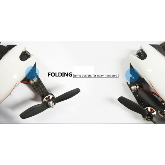 Dualsky Hornet Mini FPV Racer ARF