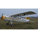 Beaver 86.6'' RC Plane