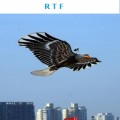 RC Kites