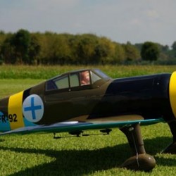 Fokker D XXI 86.6''